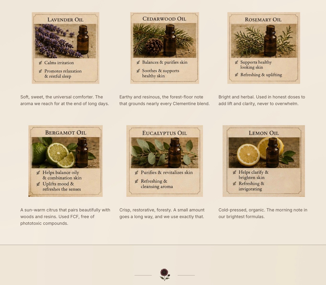 Clementine Tallow Balm, Ingredients + Education 2